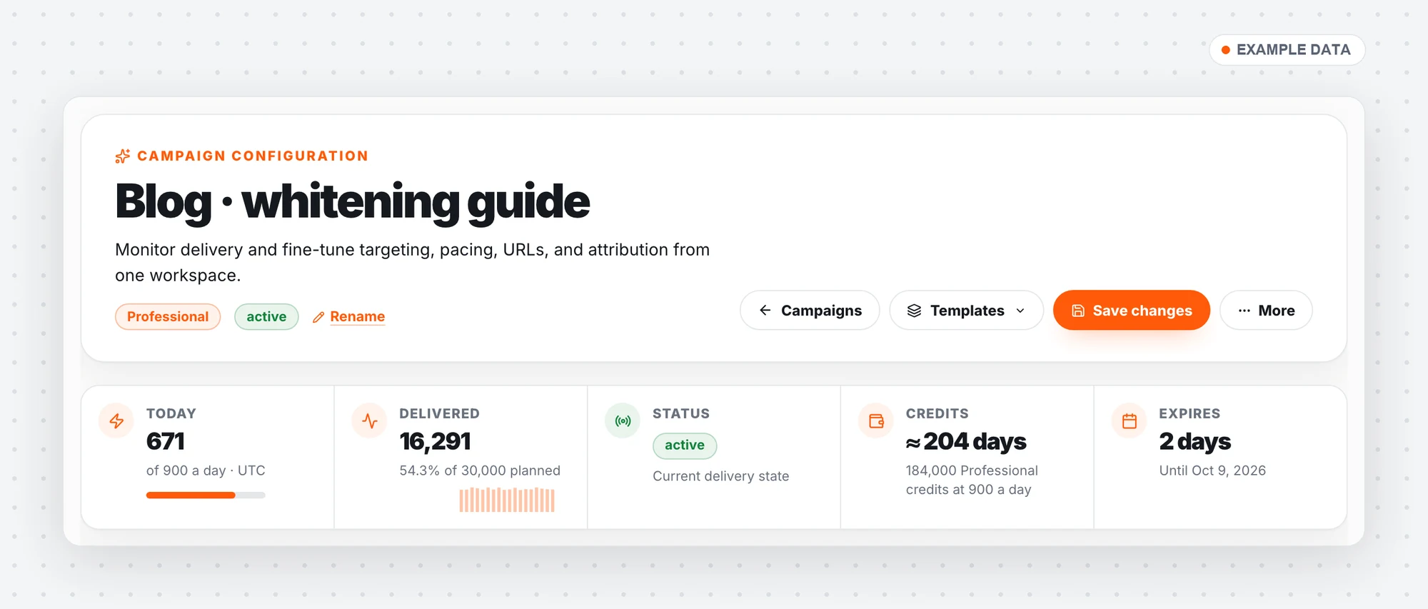 Campaign page header with today, delivered, status, credits and expiry tiles