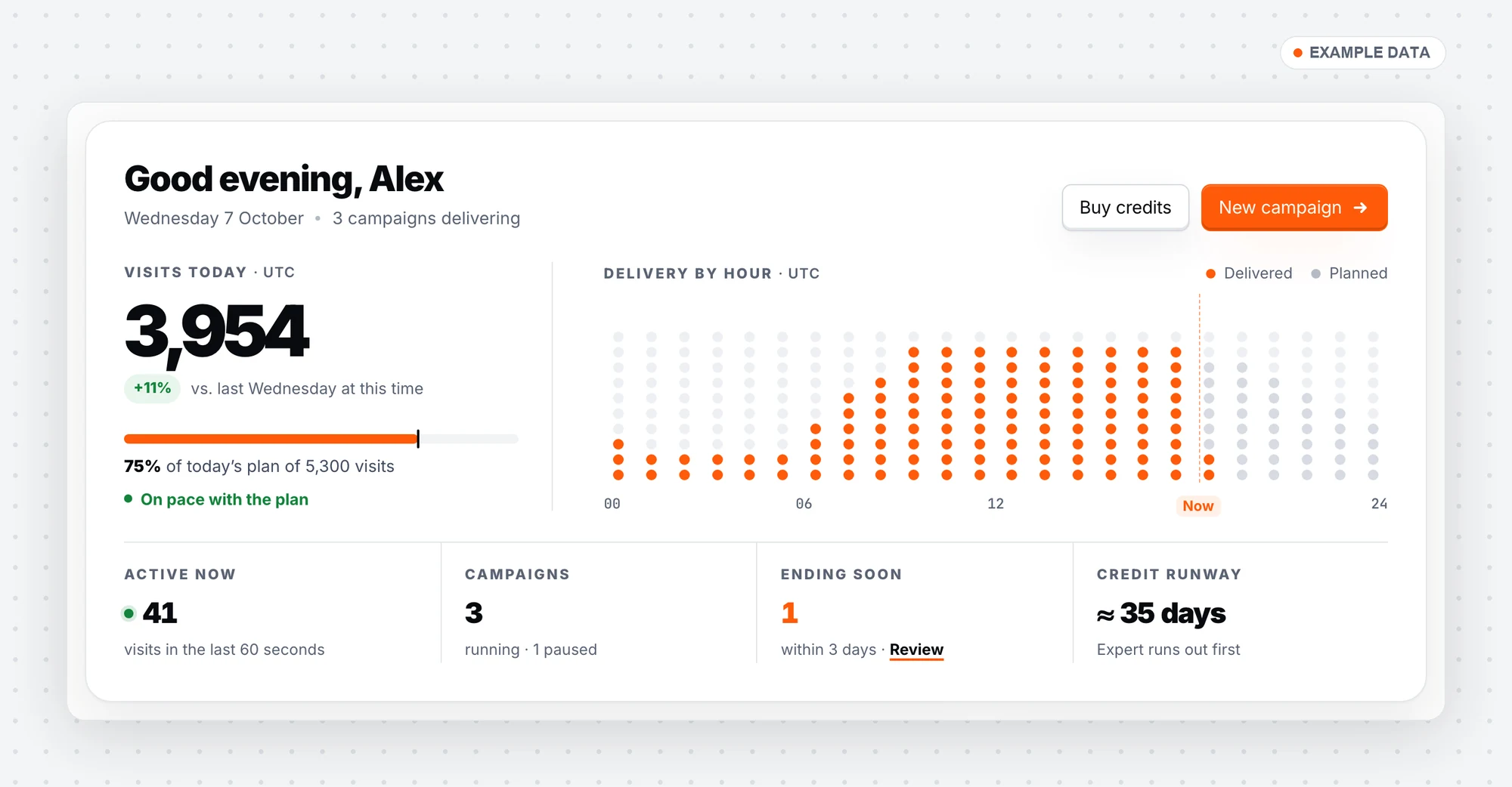 Overview: visits today, delivery by hour, active now, campaigns, ending soon and credit runway