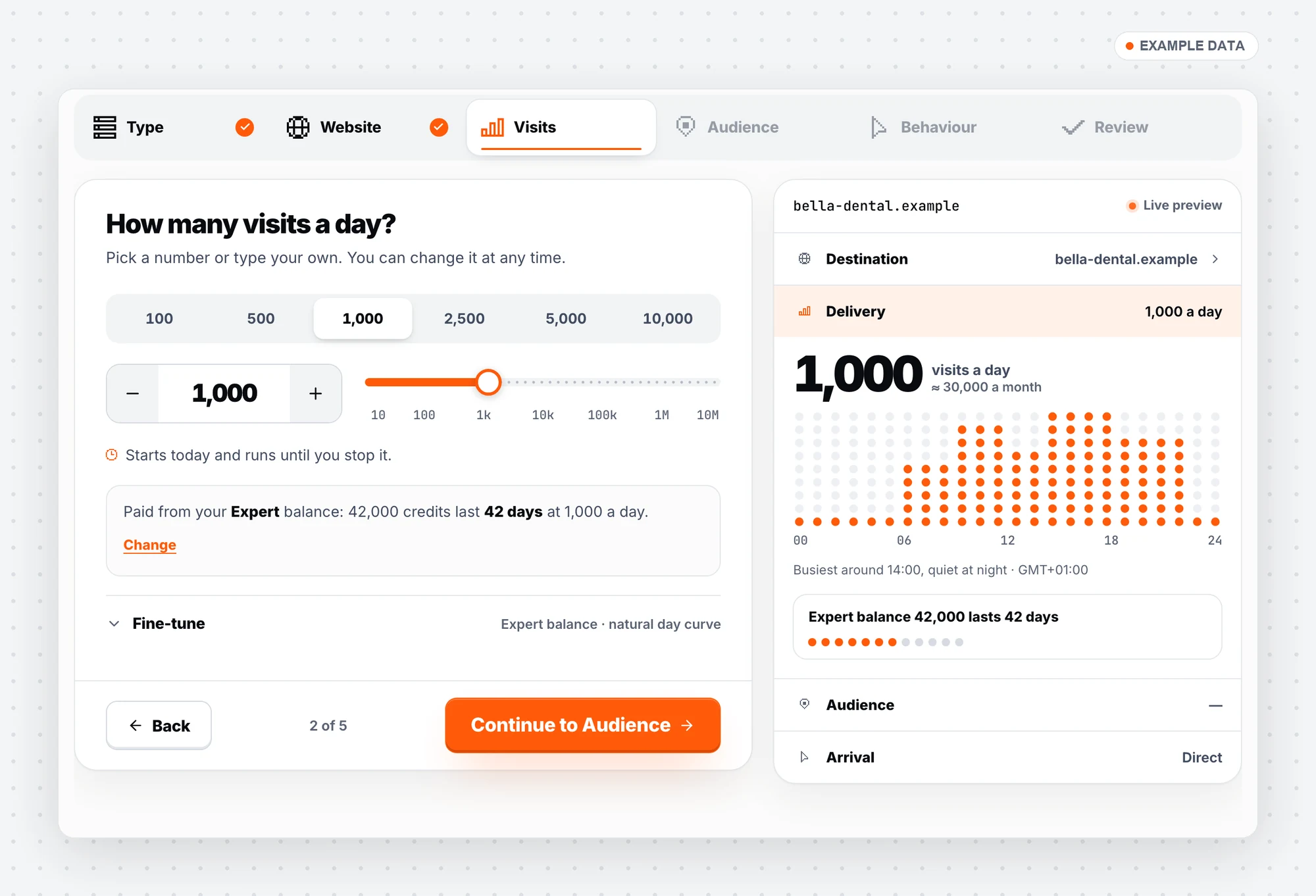 Setup step: visits per day with the expected day curve